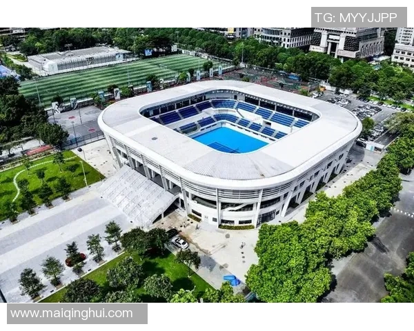 体育实时数据赛后复盘杭州网球队与武汉网球队状态分析及表现评估