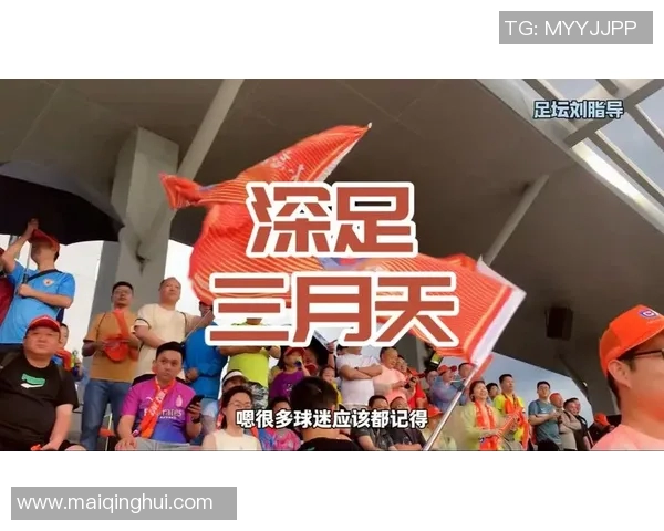 运动最新数据深圳足球队逆袭之路的艰辛与荣耀全景纪实